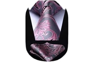 HISDERN Cravatta da Uomo Paisley Floreale Extra Lungo e Fazzoletto 8.5cm Cravatte e Fazzoletti Set Formale Matrimonio(160cm)…