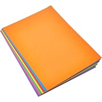 Papier Cartonné Clairefontaine 210g/m² - Lot 100 Feuilles A4 10 Couleurs