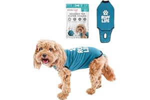BellyGuard Recovery Suit for Dogs, Comfy Dog Surgery Suit, Female Spay and Male Neuter Onesie for Post-Op Care