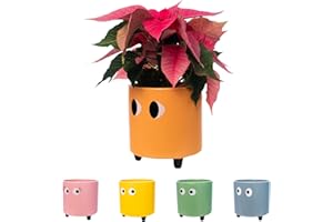 fisura. - Pot de Fleurs Original avec Motif d'œil. Pot de Fleurs et de Plante décoratif. Jardinière décorative d'intérieur. Pot en céramique Orange pour Fleurs et Plantes grasses.13 x 12,5 cm.