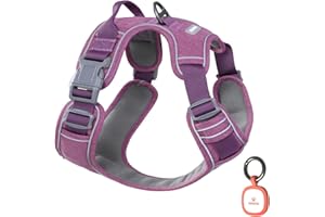 Pawaii Hundegeschirr Hundegeschirr für Kleine Hunde mit Griff Anti Zieh Geschirr Brustgeschirr Anti Zug Gepolsterte Reflektierende Verstellbare Atmungsaktive Hundegechirr ID Tag Enthältet(XS Lila)