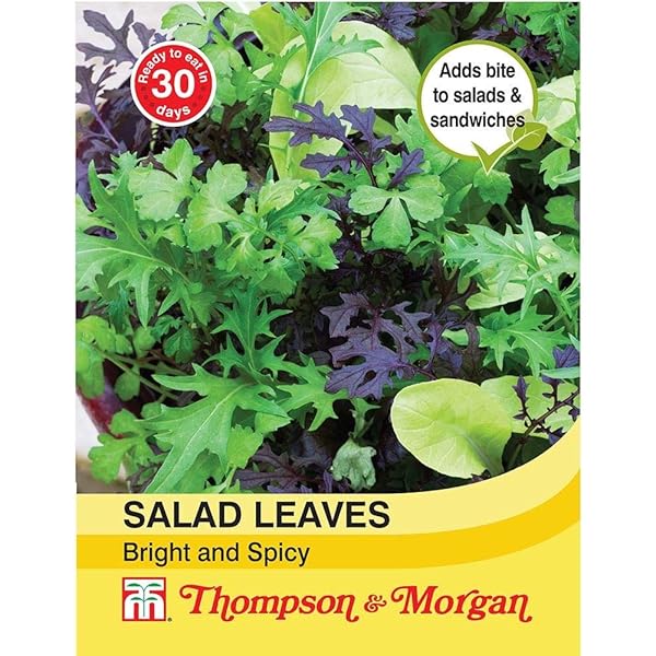 Lake Valley Seed Lettuce Spicy Salad Mix Vegetable Seeds,, 53 OFF