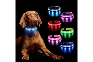 MASBRILL Perro Luminoso Recargable, Luz para Oscuridad 7 Colores 8 Modos de Parpadeo, Collar LED Ajustable Impermeable para Perros Grandes, Medianos y Pequeños, Negro-S