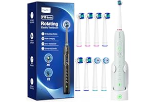 YTEATH PRO Brosse À Dent Électrique Rotatives pour Dents Sensibles - Brosses À Dents Adultes avec 3 Intensités 5 Modes, 8 Têtes de Brosse, Étanche IPX7, Brosse A Dent Electrique de Voyage, Vert Clair