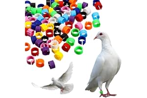AMACOAM Anelli per Piccioni Anello per Piedi di Uccelli 8 mm 200 Pezzi Clip Anelli per Uccelli in Plastica Anello Colorato di Identificazione dei Piedi per Uccelli Pappagallo Piccioni Canarini Multicolore