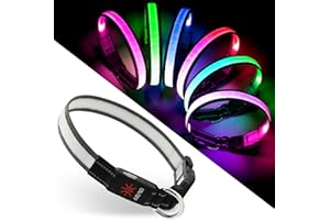 CHALKLIT Leuchthalsband Hund, Mehrfarbiges LED-Hundehalsband mit 7 Beleuchtungsmodi – USB-C Wiederaufladbare, Echtzeit-Batterieanzeige – Wasserdicht verstellbar Leuchthalsband für Kleine Mittlere Große Hunde