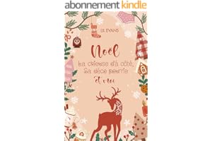 Noël, la chieuse d'à côté, sa déco pourrie et moi