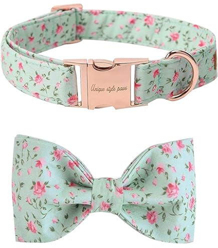 cat bow tie collar amazon