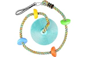 LITTLEBOYNY Balançoire en Corde d'escalade pour Enfants avec Plate-Forme et siège trapèze à Disque - Accessoires de Jeu -Bleu Ciel