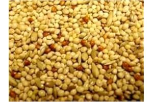 COUNTRYWIDE Willsbridge Cage & Aviary Budgie Seed Mix Bird Food