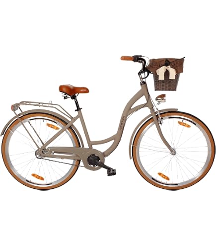 maxim fahrrad 28 zoll La Vita | Citybike Damenrad | Color:Turquoise Angelzubehör The Best E-Mountainbike of