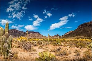 Muralo Fototapeta w górach, 180 x 270 cm, tapeta z włókniny, tapeta ścienna, góra, widok salonu, sypialni, nowoczesne obrazy ścienne XXL, naturalny krajobraz, panorama ścienna