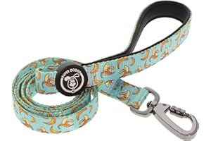 SUPER DOGGY Correa para Perros Originales - Perro Pequeño, Mediano y Grande - Correa de Nylon Resistente y Mango Acolchado - Varios Estampados Divertidos, 120 x 2cm (Blue Bananas)