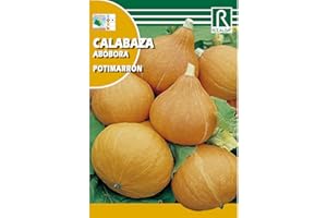 ROCALBA Semillas de Calabaza potimarron