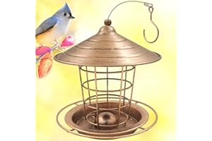 Zeqeey Mangiatoia per uccelli in metallo da appendere a globuli di grasso di suet pellet supporto per palline di ferro mangiatoia per uccelli per l'alimentazione del giardino uccello selvatico