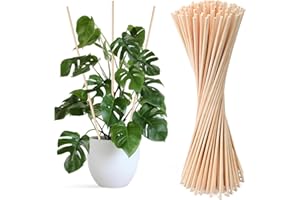 Huucozn 100 PCS Tutores de Bambú a Planta 40cm Ø 5mm– Cañas de Bambu Plantas, Estacas para Tomateras, Palos para Tomateras en huerto y Cultivos Verticales Jardín, Tutores por Plantas Trepadoras