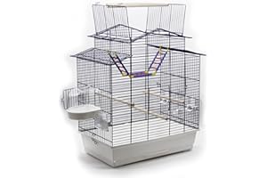 INTERZOO XXL Vogelkäfig Wellensittich Kanarien mit Freisitz & Zubebör