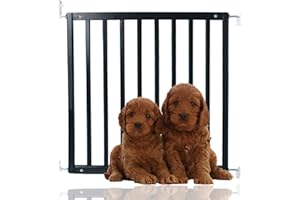 Bettacare Simply Secure Barrière en Bois avec Vis, 72 cm - 79 cm, Noir, Barrière pour Chiens en Bois, Barrière de Sécurité pour Animaux avec Vis, Design Élégant et Barrière de Sécurité Pratique