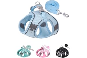 SOLMOONY Dog Harness for Small Medium Large Dogs No Pull, Puppy Harness and Leash Set, Puppy Harness for Small Dogs, Step in Harness for Small Dogs, Small Dog Harness, mesh Dog Harness. (Bule, M)