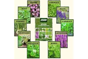 QMXC 1100 Pcs Mix Spices Seeds Collection Popular Organic Nature Bring The Fragrance Plant for Kitchen Home Garden Planting,Basil,Lavender,Sage,Mint