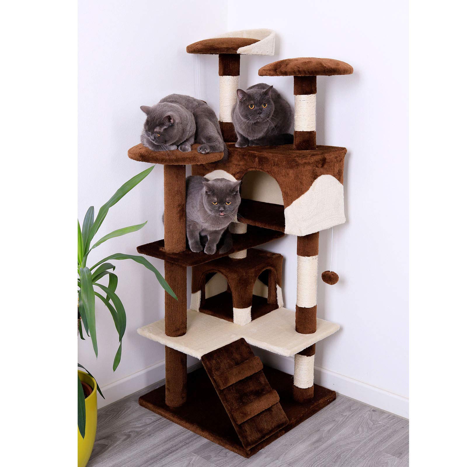 Dibea Arbre A Chat Avec Roman La Veille Du Net