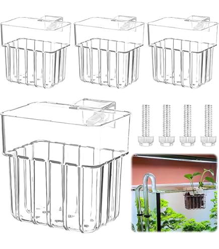 Porta Piante Per Acquario - 4 Pezzi | Trasparente | Con Fori | 80x57x80 Mm | Con Ventose - Foto 4