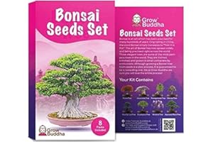 GROW BUDDHA Set de semillas de árbol de bonsái para regalo de - Cultiva tu propio árbol de bonsái fácilmente con nuestro set de 8 semillas de árbol de bonsái