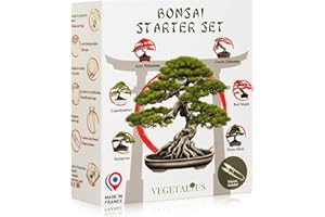 VEGETALIUS - Kit complet de 6 Bonsai avec graines & accessoires - Fabriqué en France - Idée coffret cadeau original pour femme & homme pour votre intérieur ou jardin ! Idéal pour Noël ou Secret Santa