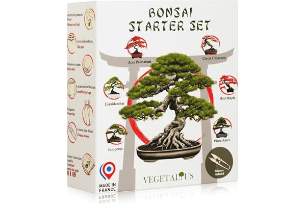 VEGETALIUS - Kit complet de 6 Bonsai avec graines & accessoires - Fabriqué en France - Idée coffret cadeau original pour femme & homme pour votre intérieur ou jardin ! Idéal pour Noël ou Secret Santa