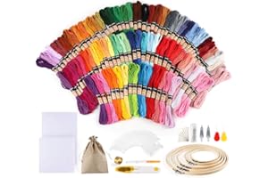 Homewit 100 Farben Stickerei Set,Kreuzstich Starter Kit Stickerei Basteln Crafts FlossSticken Set für Freundschaftsbänder Stickerei Nähgarne Häkeln +5 pcs Bambus Stickrahmen, 2pcs Tuch, Nadeln Set
