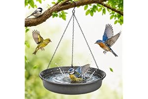Cargen Bird Bath Hanging Bird-Feeder - Garden Bat Feeder Plate Tray Water Or Seed Baths For Outdoors