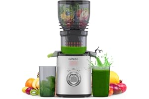 OMMO Estrattore Frutta e Verdura, 300W Centrifuga Frutta e Verdura con Apertura Extra-larga 148mm, Estrattore di Succo Professionale con 2 Tazze PC, Senza BPA, Argento