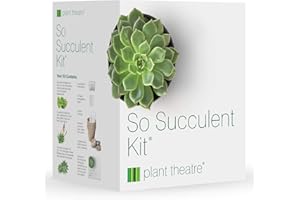 Plant Theatre So Succulent Kit - Gift Seed Kit with Super Succulent Plant Varieties to Grow, So Easy to Care for!