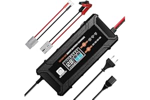 ECO-WORTHY 12V/24V 20A Caricabatterie LiFePO4 con opzioni Multi-Corrente 5A/10A/15A/20A,rilevamento automatico della tensione della batteria Piombo-Acido LiFePO4