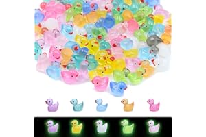 Zyluniy 100 Piezas Mini Patos Luminosos, Mini Patos de Resina, Coloridos Patos Pequeños para decoración de casa de muñecas, Micro jardín de Hadas, Paisaje, Acuario, DIY