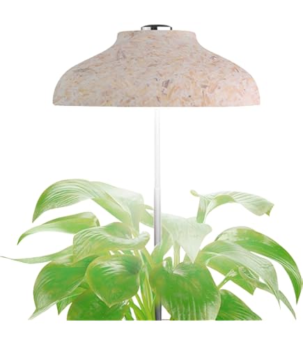 Lampada LED Per Piante Egle Con Timer - Luce A Spettro Completo, Altezza Regolabile, USB, 5W - Foto 10