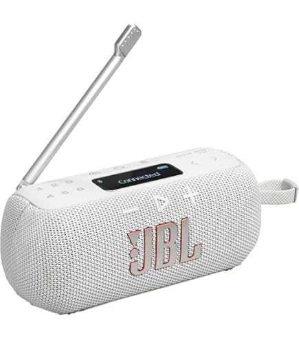 Enceinte Tivoli Audio ART Line ORB – Wi-Fi & Bluetooth (Blanc/Gris) NEUF