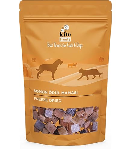 Hammomda jinsiy aloqa qilish