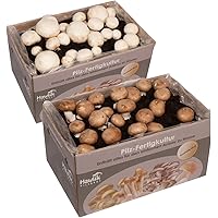 2 X Champignon Pilzkulturen I Probierset I Hawlik Pilzbrut I kinderleicht Pilze selber züchten I ohne Vorkentnisse