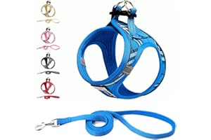 Suredoo Pettorina Cane Taglia Piccola Riflettente, Step-in Pettorina per Cani Gatti Cuccioli con Guinzaglio Comodo, Traspirante Imbracatura Cane Imbottito per Corsa Passeggiate (Blu, S)