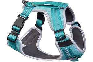 EMBARK PETS Embark Sports Dog Harness, No Pull Dog Harness with 2 Leash Clips, Dog Harness Small Dog Anti Pull Dog Harness Front & Back with Control Handle, Adjustable, Soft & Padded |Puppy Harness|
