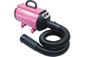 Phoenix Harmattan - Essiccatore Portatile a 2 velocità, 2200 W, Colore: Rosa