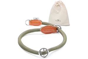FREUDENTIER Zugstopp Halsband Hunde - Retriever Halsband - Hundehalsband Zugstopp für kleine, mittelgroße & große Hunde (Waldgrün, M)