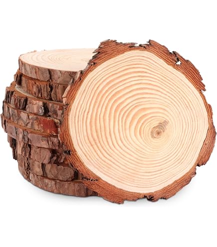 LAZACA Lot de 50 petits disques en bois pour travaux manuels - Décoration de Noël 50 Pièces 3-4cm LAZACA Lot de 50 petits disques en bois pour travaux manuels - Décoration de Noël 50 Pièces 3-4cm