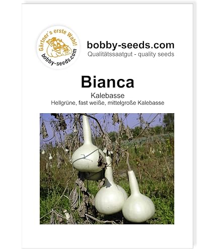 Bobby-Seeds Kürbissamen 'Yuva F1' – Ertragreiche Sorte Im Kabocha-Typ (10 Korn Pro Portion)