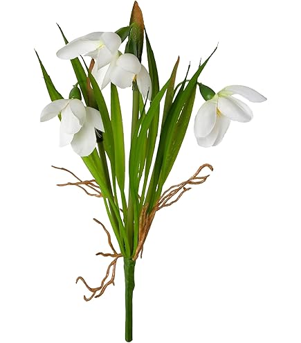 künstliche schneeglöckchen kaufen Blumenzwiebeln Doppeltes Schneeglöckchen (x10) - Galanthus nivalis flore  pleno main image 1