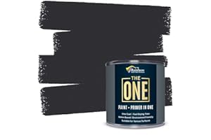 THE ONE Paint & Primer | Quick Drying Durable Paint | For Furniture, Cabinets, Front Door, Walls, Bathrooms, Kitchens and Tiles | Suitable for Interior/Exterior | Charcoal Matte, 250ml