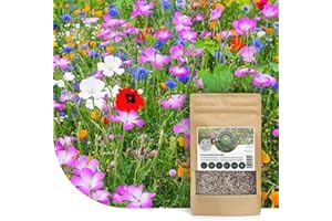 MRS SEEDS & MIXTURES Mélange de fleurs sauvages annuelles et vivaces | 250g - 125 m² | 62 variétés de fleurs de jardin | Fleurs sauvages multicolores & riches en nectar | Attire les abeilles et les papillons