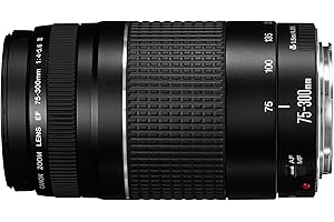 Canon EF 75-300mm f/4-5.6 III Telephoto Zoom Lens for Canon SLR Cameras Canon EOS 7D, 60D, EOS Rebel SL1, T1i, T2i, T3, T3i, T4i, T5i, XS, XSi, XT, XTi Digital SLR Cameras