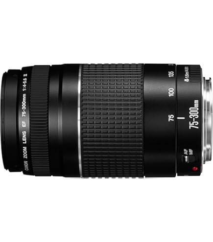 Sigma 50-500mm f/4-6.3 APO EX DG HSM Optical Stabilised Zoom Lens